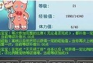 qq飞车女王最新爆料图片